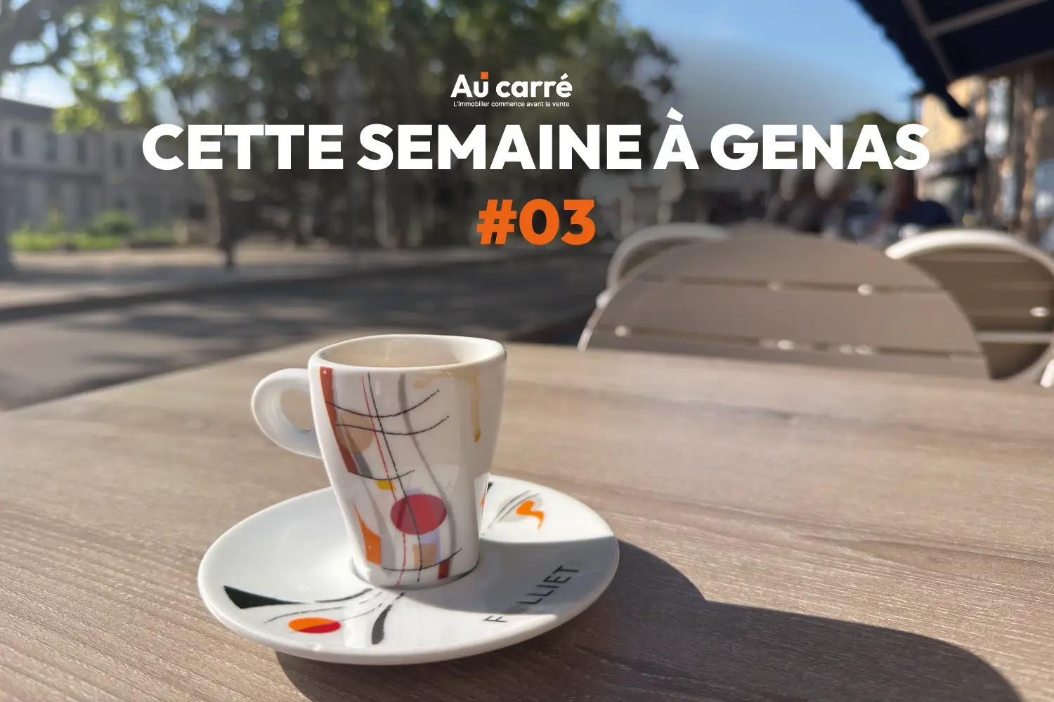 Cette semaine à Genas #03 : deux offres, une négociation bloquée et des moustiques