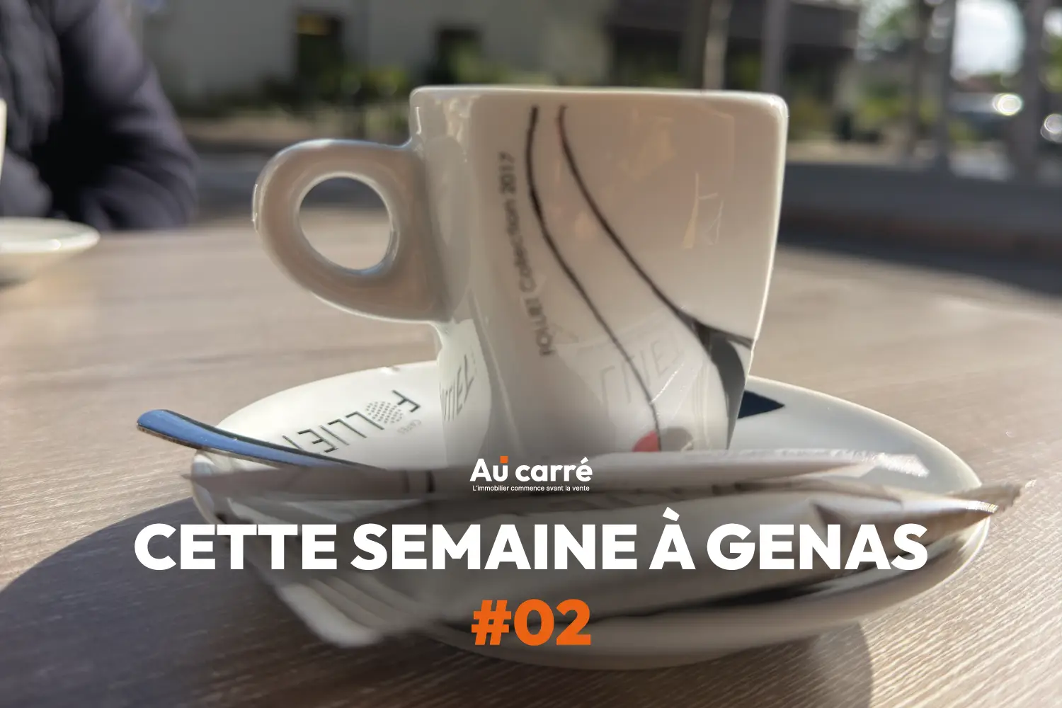 Cette semaine à Genas #02 : plus de visites, une salle de bain et une question sur mon territoire