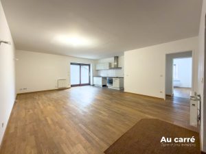 Appartement Grand T2 terrasse à louer Genas Azieu