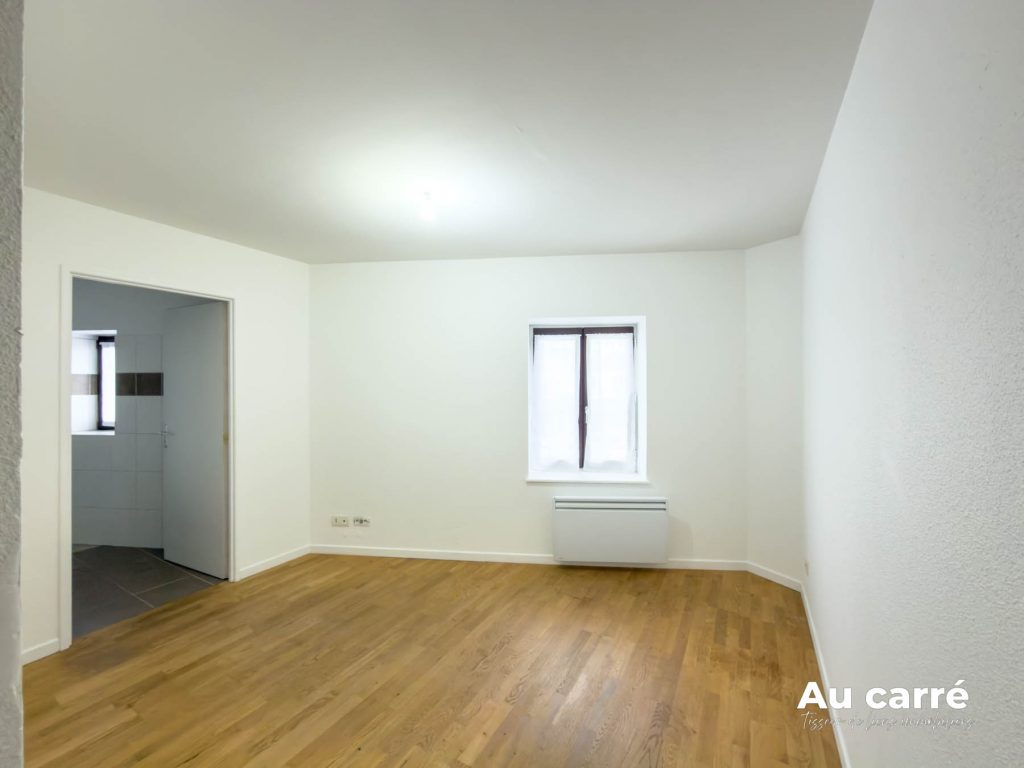 Appartement Grand T2 terrasse à louer Genas Azieu