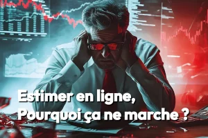 Estimation en ligne à Genas, Pourquoi ça ne marche pas ?