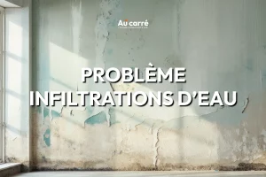 Problème Infiltrations d'eau Genas