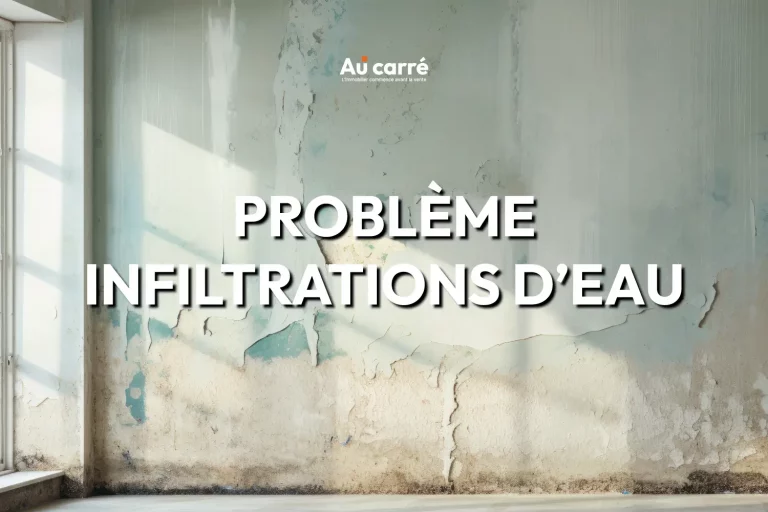 Problème Infiltrations d'eau Genas